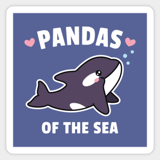 Cute Orca, Pandas Of The Sea Sticker